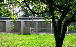 Gallery photo 47 - Little Dog Kennels and Cattery